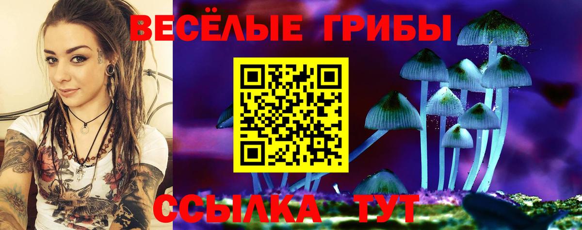 Челябинск  где найти   Вход с VPN  Галлюциногенные грибы ЛСД 