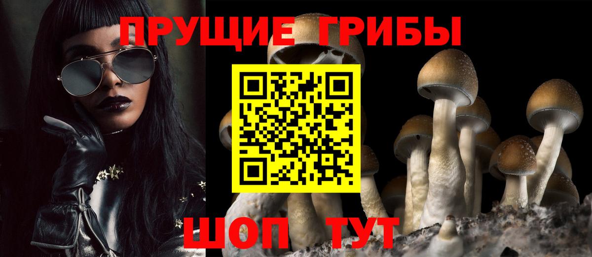 Галлюциногенные грибы GOLDEN TEACHER Челябинск